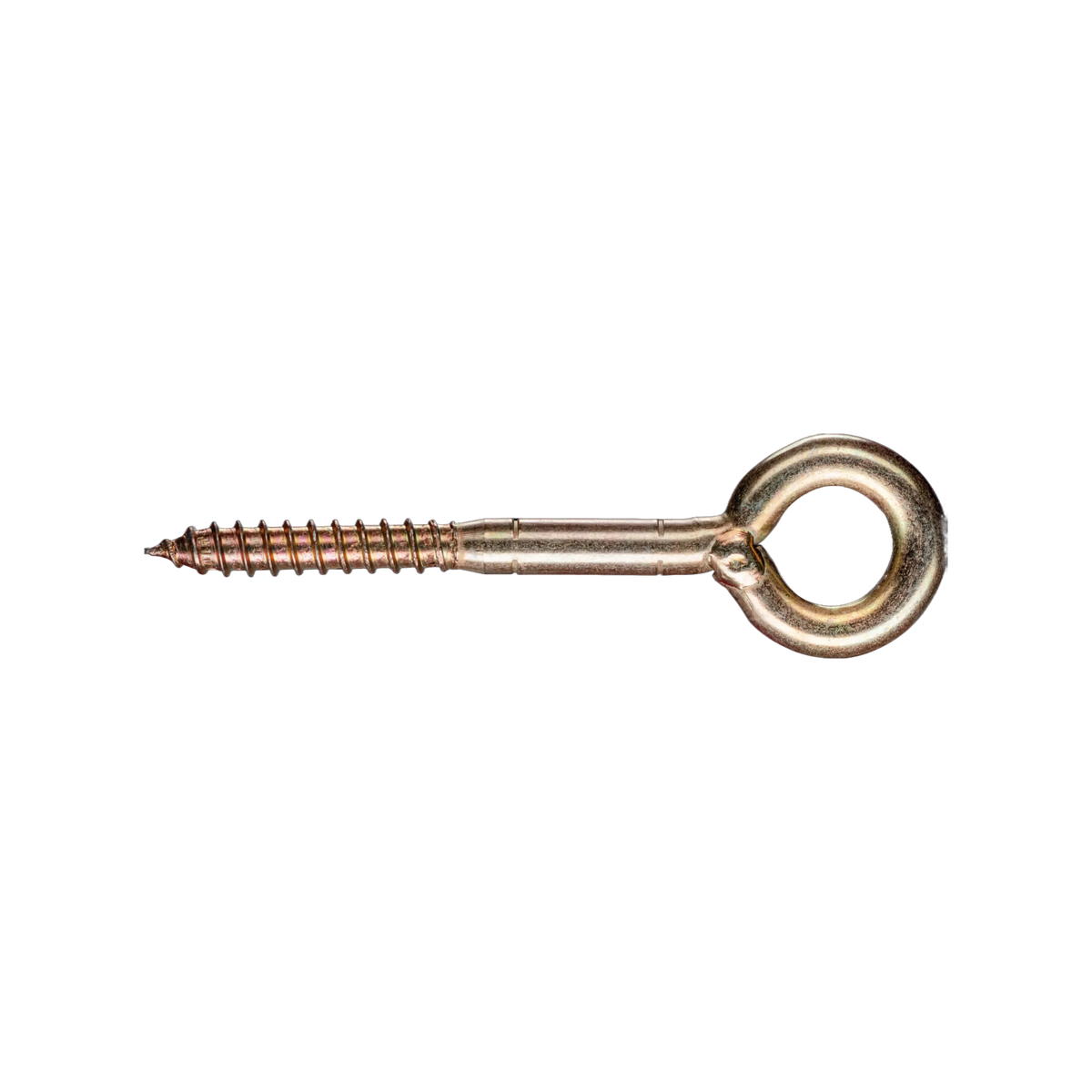 RAWL- Förankringsögla 12mm tjock